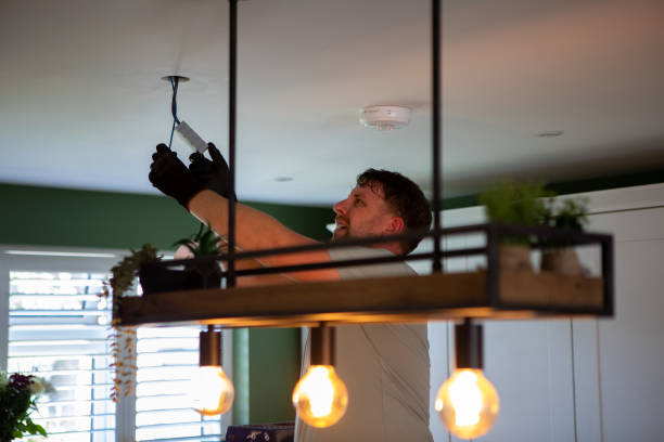 Best Electric Panel Repair  in Holiday Valley, OH